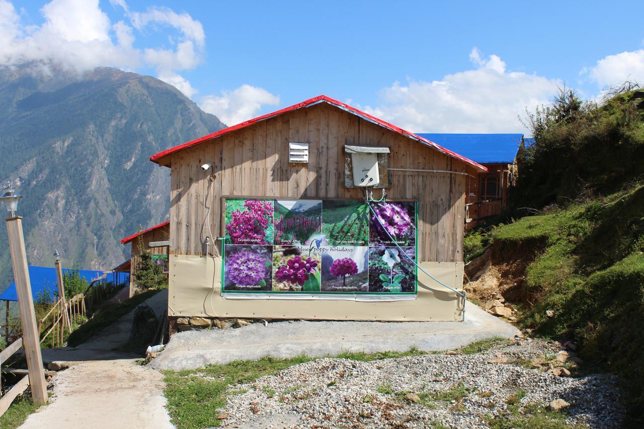 Blue Poppy Resorts Joshimath Luaran gambar