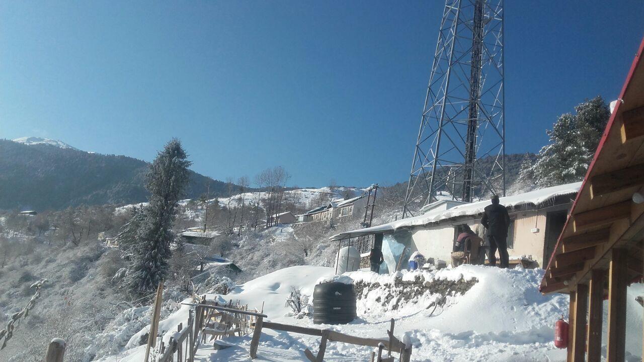 Blue Poppy Resorts Joshimath Luaran gambar